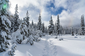 20181202-SJA05593.jpg