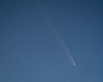 20241016-ZW003288-Enhanced-NR--full_res.jpg