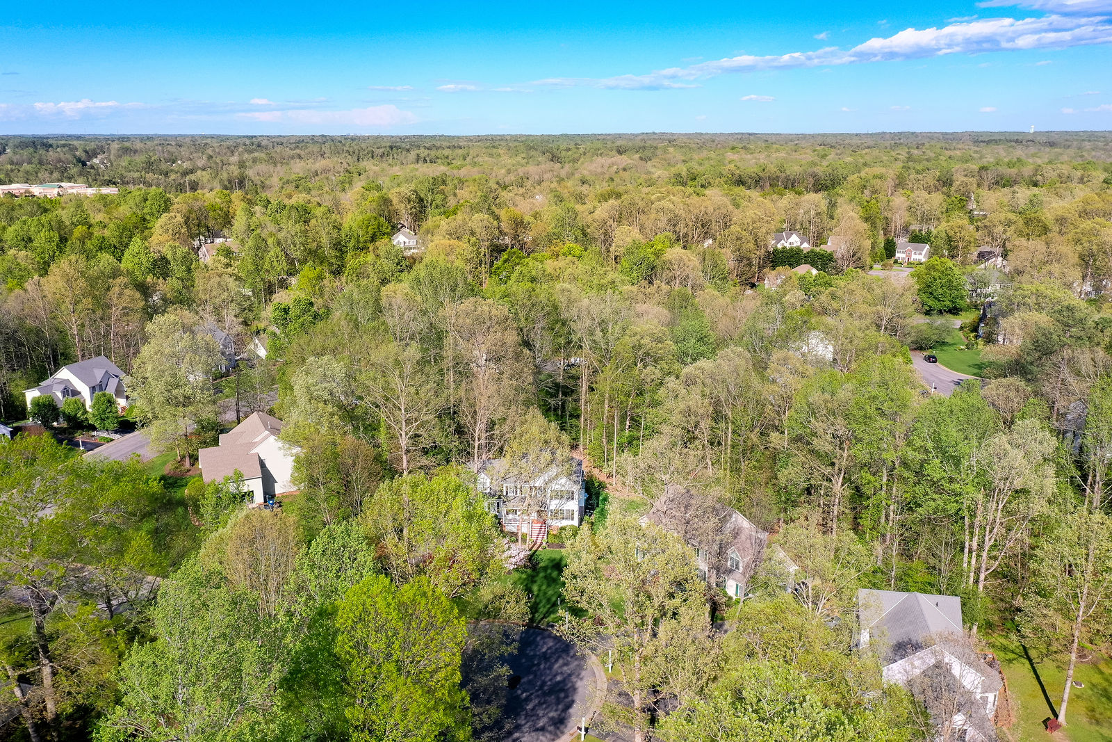 Bay Knoll Ct by Amy Lauren Photography