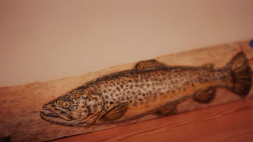 Fly Fishing Film Tour photo 26