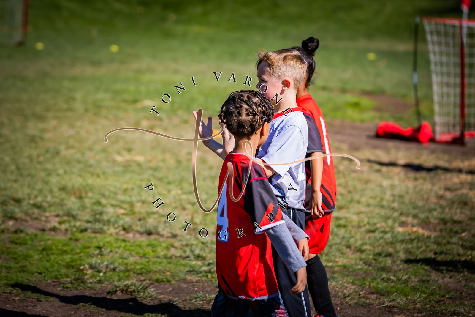 Print Store Toni Varone Photography