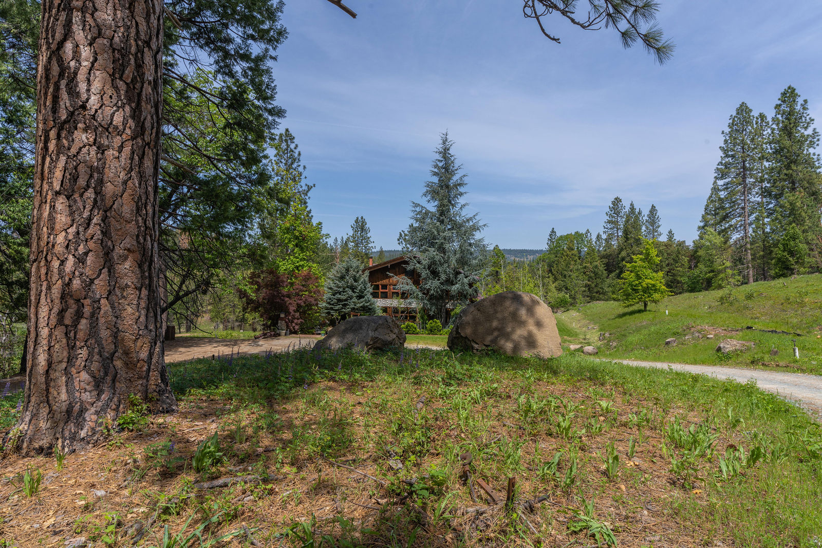 16030 Schaefer Ranch Rd Pioneer, CA by Amador Photo