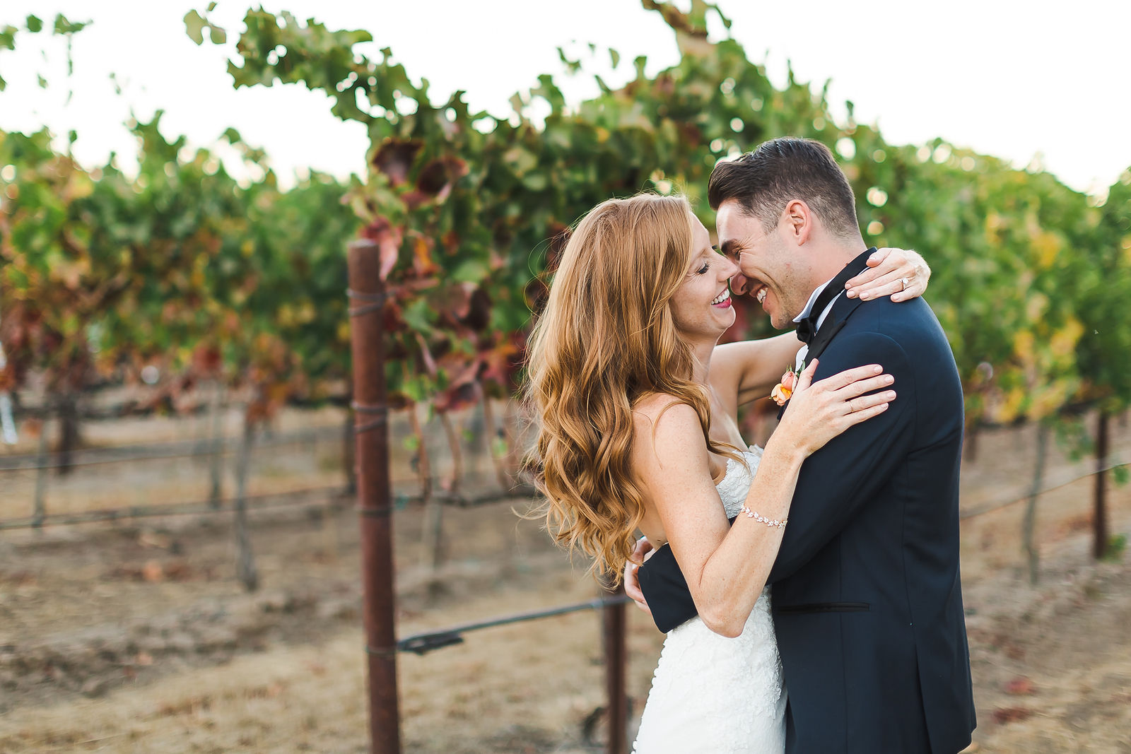 Couple kissing between the vines at a Napa Valley vineyard wedding