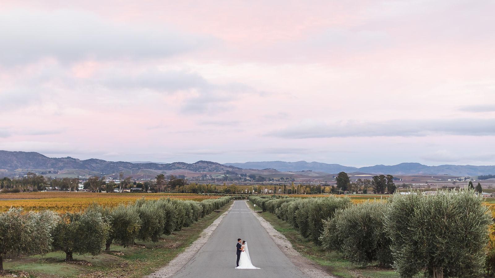 Couple standing on a vineyard road at dusk under a pink Wine Country sky