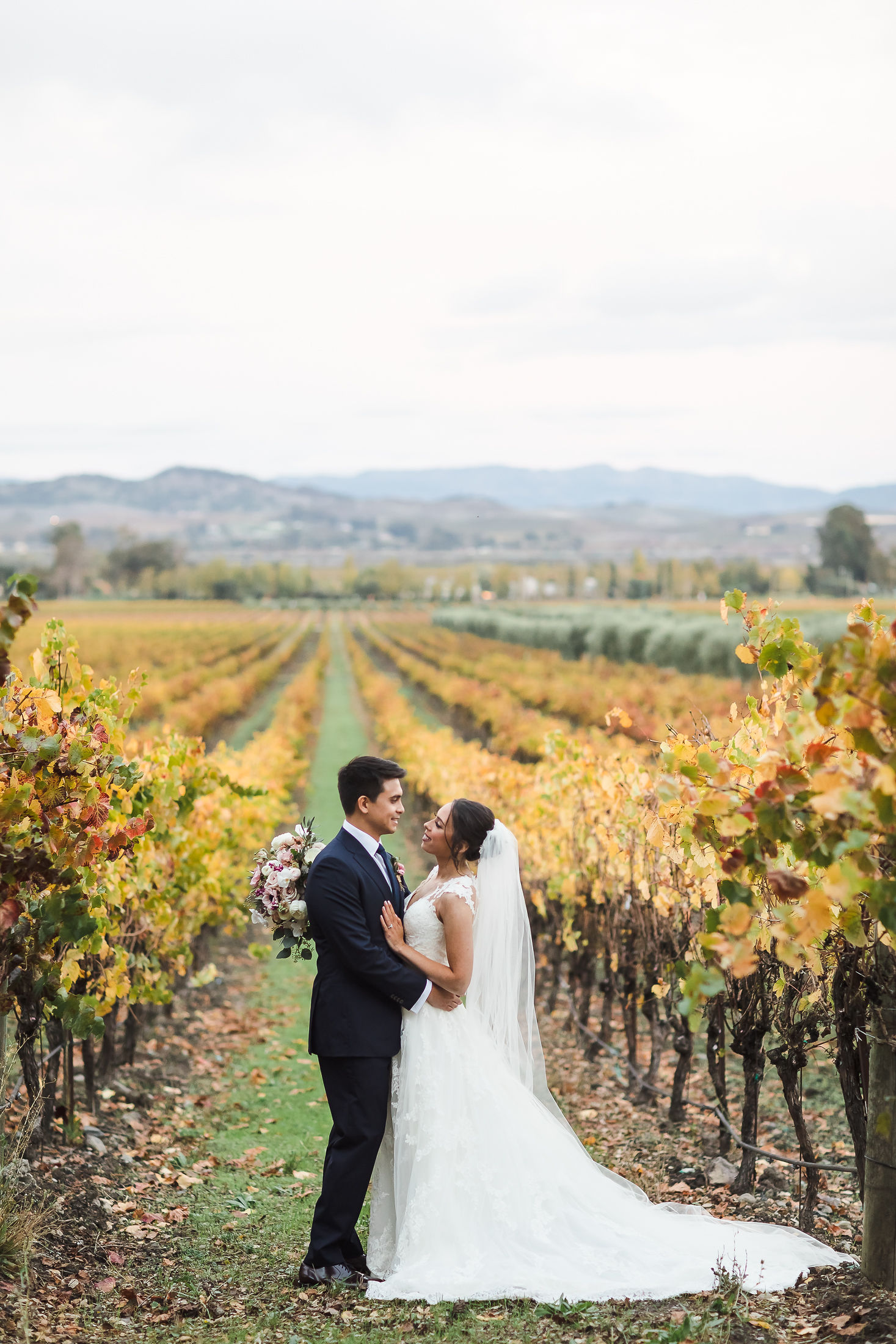 Newlyweds walking through golden autumn vineyards in Napa Valley