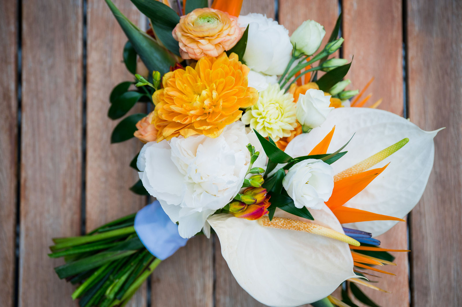 Wedding bouquets laid out with Bird of Paradise blooms in Morrison Colorado