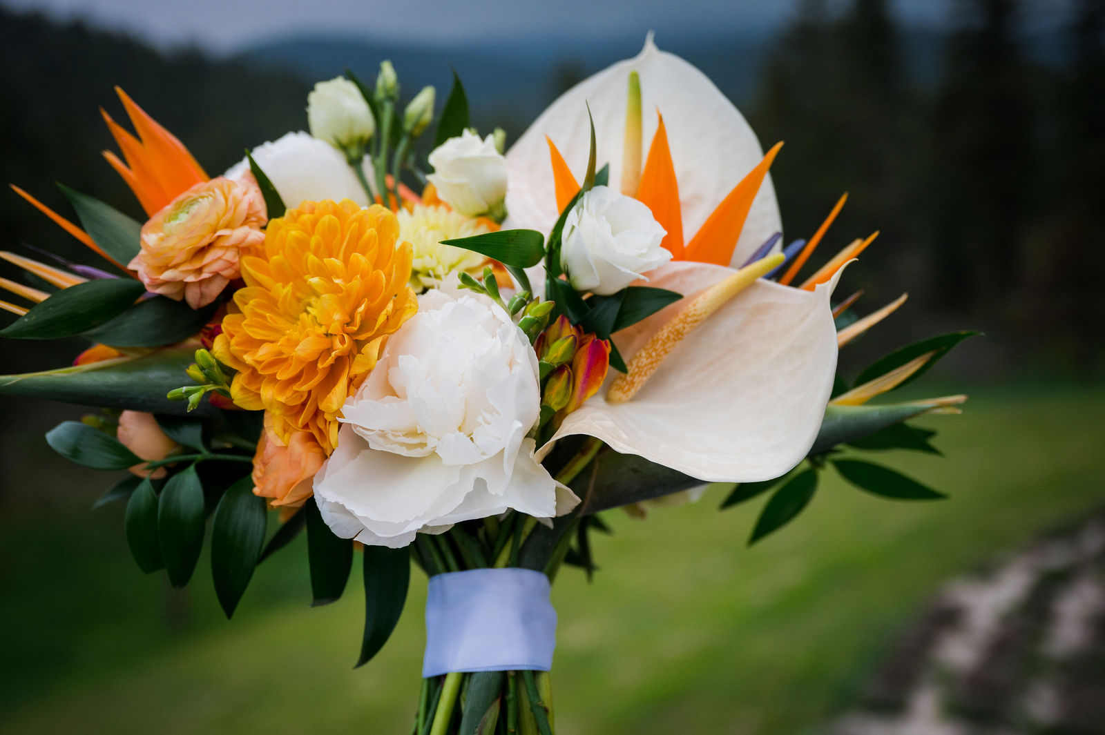 Bridal bouquet with Bird of Paradise and white florals in Colorado