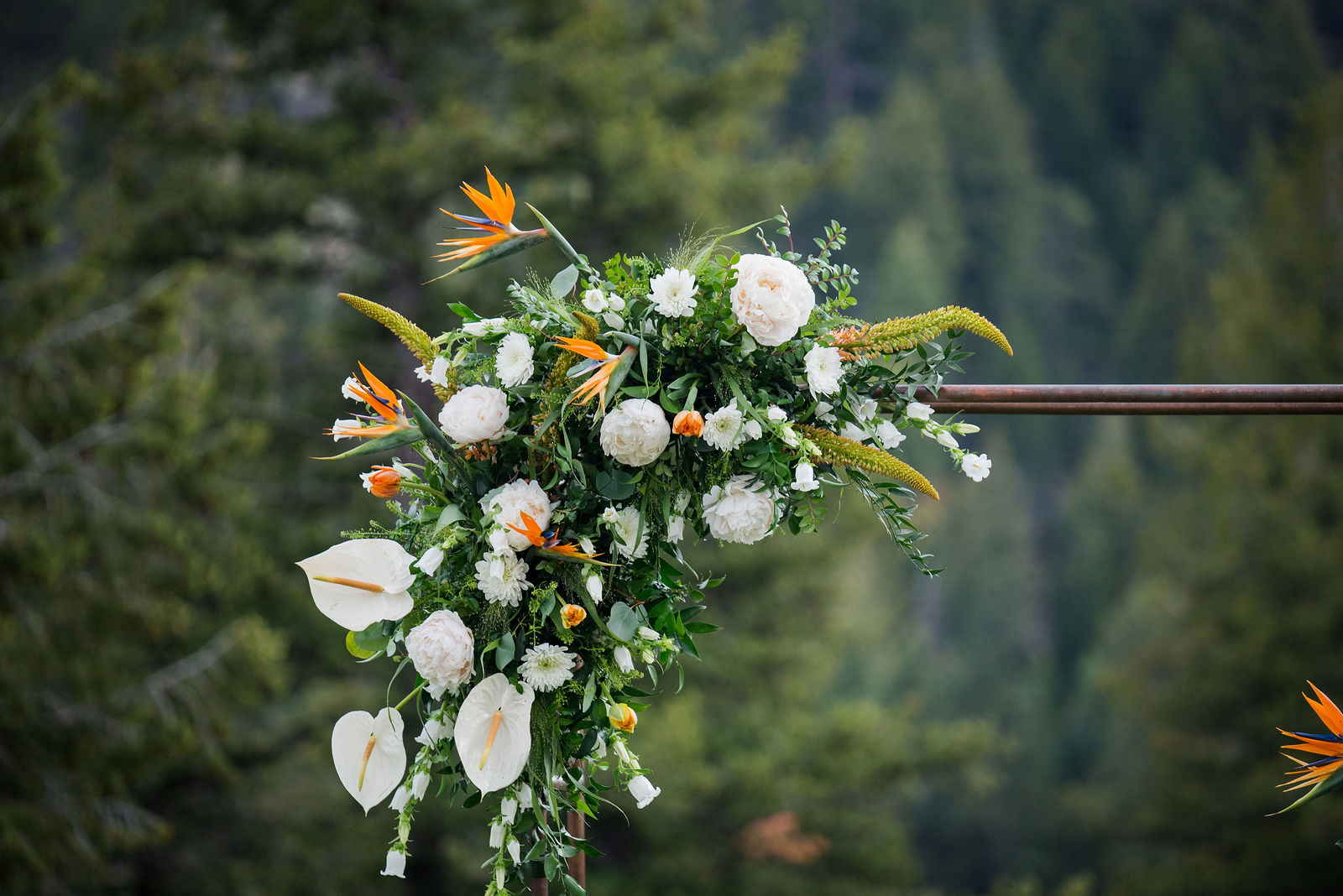 Ceremony arch florals with Bird of Paradise at The Woodlands in Colorado