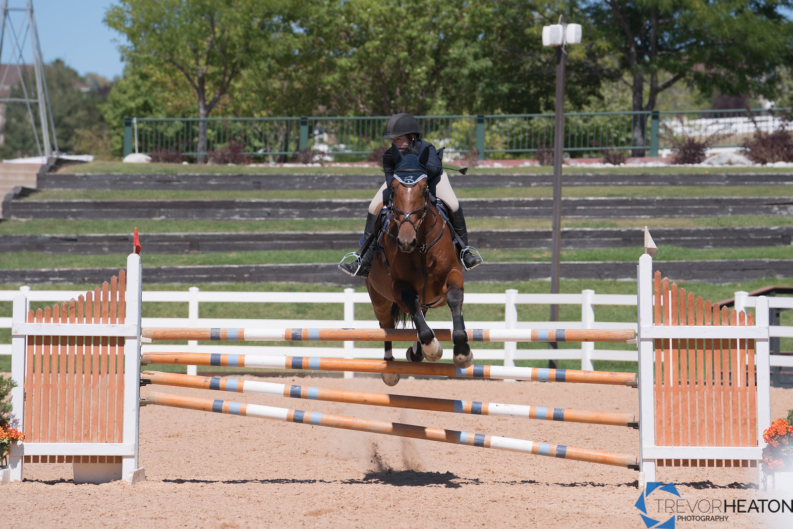 Colorado Horse Park by TREVOR HEATON PHOTOGRAPHY