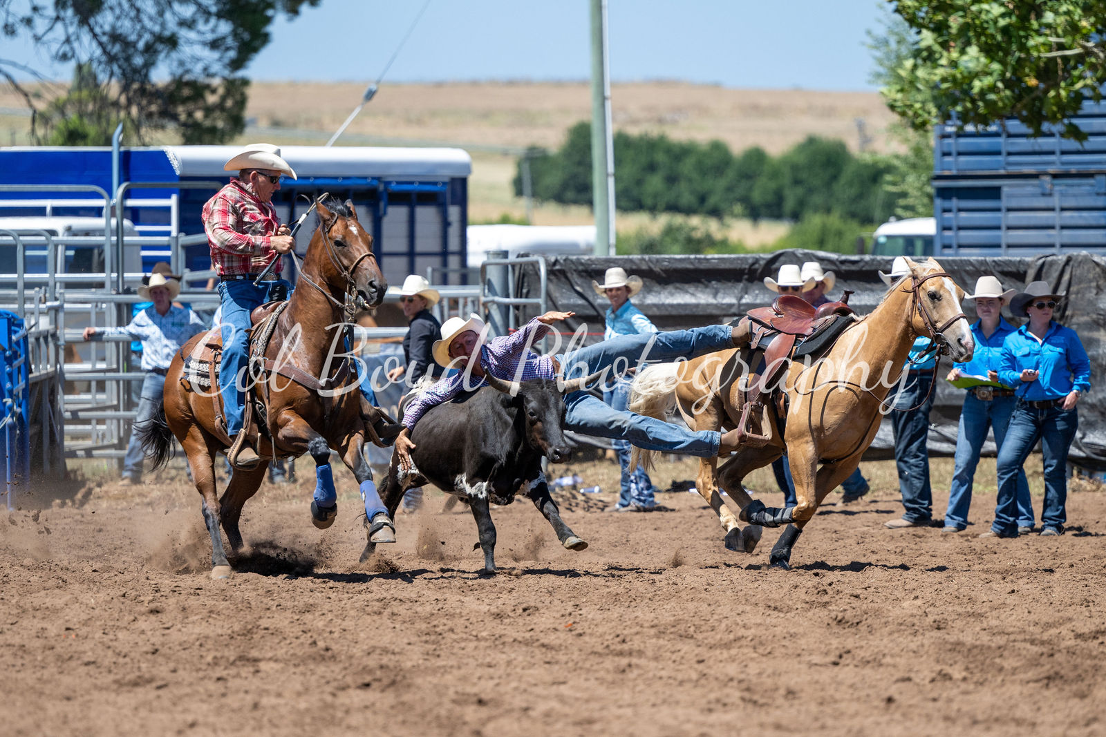Cwu Ropeless Rodeo Cassilis Rodeo, rope and tie, breakaway, team roping, undecorating ...