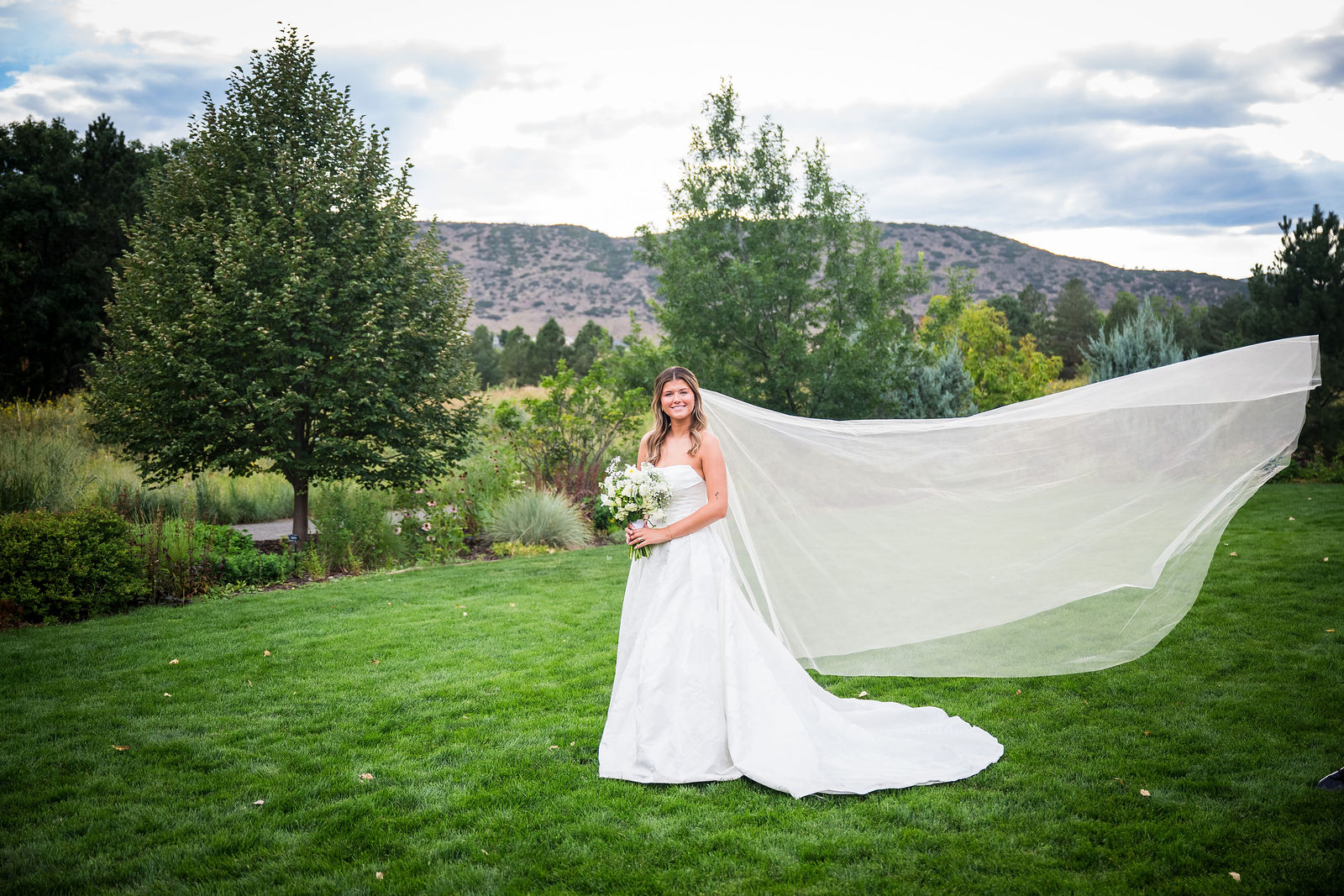 Wedding veil trailing across a Colorado field